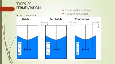 Design And Preparation Of Media For Fermentation