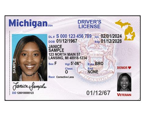 Visiting The Secretary Of State On Elston For Driver Services And Professional Vehicle Registration In Chicago Today 11
