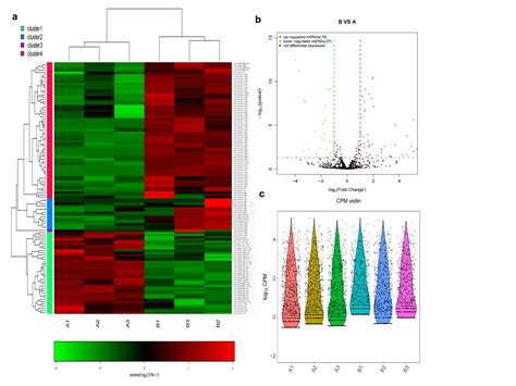 High Throughput Sequencing To Investigate The Expression And Potential