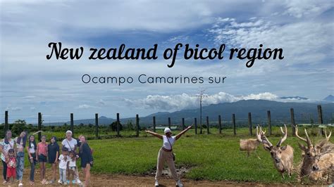 Deer Farm Ocampo Camarines Sur The New Zealand Of Bicol Region View