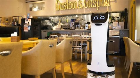 dfabellabot dfa robotics