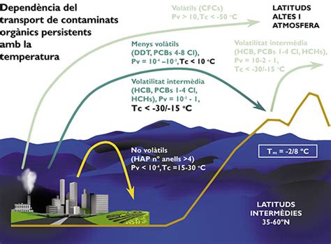 Los Compuestos Orgánicos Persistentes En La Biosfera El Enemigo Global E Invisible Revista Mètode