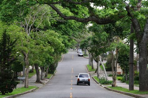 Rua Arborizada Igui Ecologia