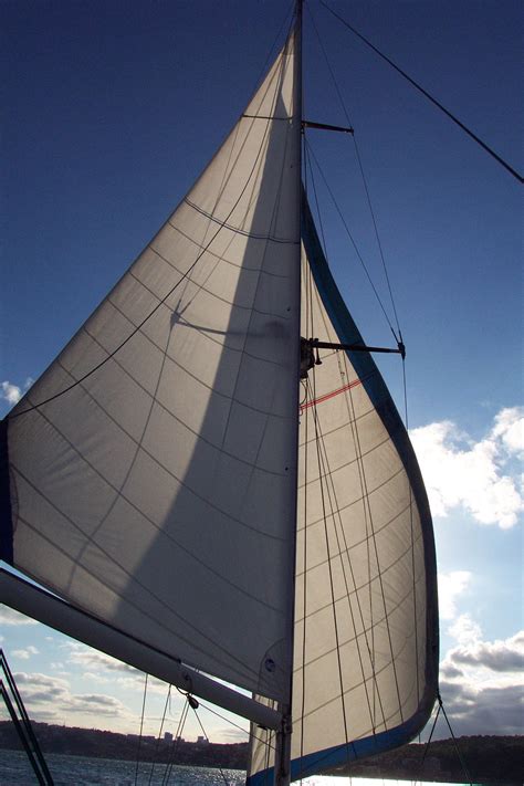 Free Images Boat Wind Vehicle Mast Yacht Sailboat Sail