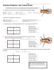 Ap Bio Practice Sex Linked Traits Pdf Name Practice Problems Sex