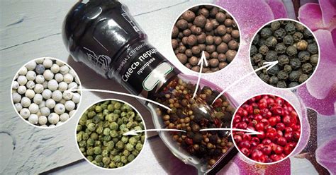 Виды перца - Со Вкусом