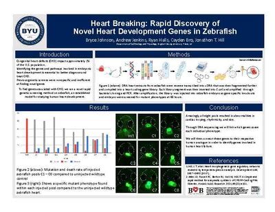 Heart Breaking Rapid Discovery Of Novel Heart Development Genes In Ze