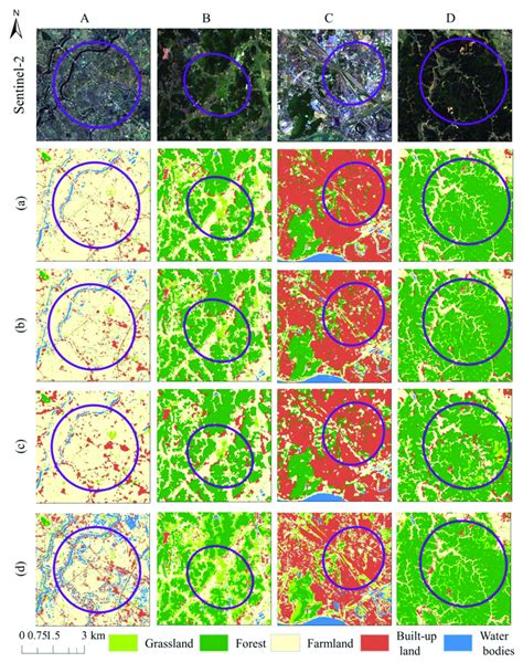 Results Of Vegetation Classification With RF U Net And DeepLab V3