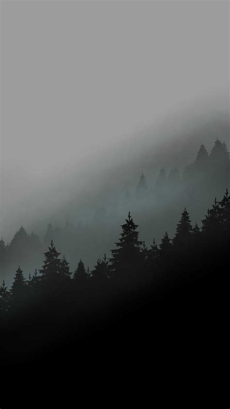 Wallpaper Foggy Forest - iXpap