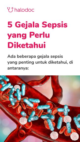 Tes Yang Dilakukan Untuk Diagnosis Sepsis Pada Bayi