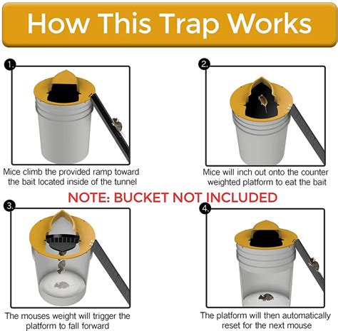 Myo Water Trap For Mice The Ultimate Bucket Mouse Trap