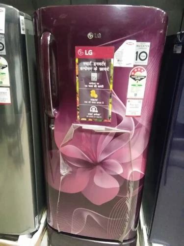 Lg Refrigerator Lg Refrigerator Authorized Retail Dealer From Delhi