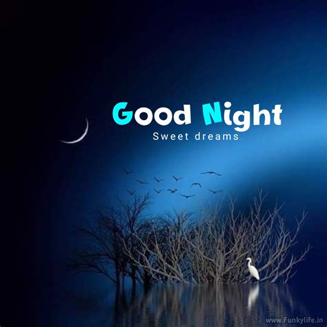 Good Night New Picture 1