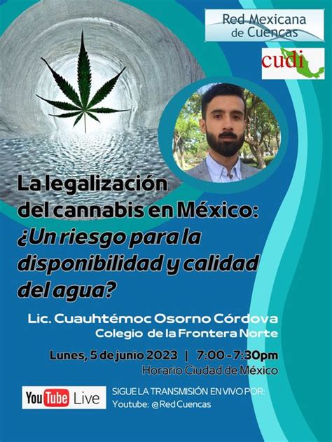 La Legalización Del Cannabis En México ¿un Riesgo Para La Disponibilidad Y Calidad Del Agua