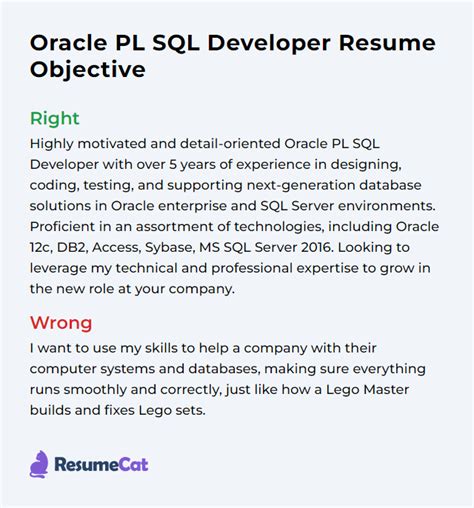 Top Oracle Pl Sql Developer Resume Objective Examples