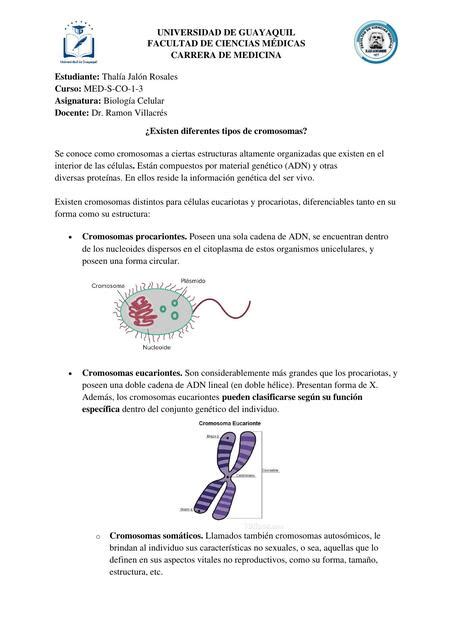 Resúmenes de Tipos de cromosomas Descarga apuntes de Tipos de cromosomas