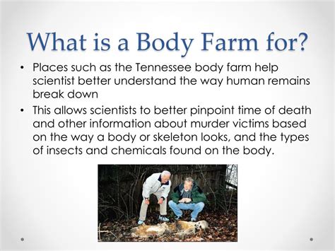 PPT - Tennessee Body Farm PowerPoint Presentation, free download - ID ...