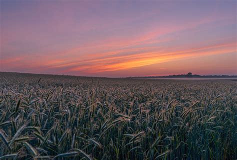 Sunrise Over The Field By SL Foto On YouPic