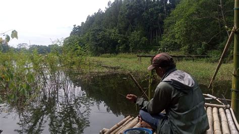 Arti Mimpi Memancing Ikan Menurut Ahli Tafsir Dan Ilmu Psikologi Awas