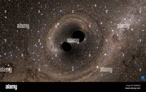 Black Hole Merger Simulation