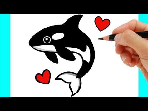 C Mo Dibujar Una Ballena Paso A Paso Dibujo De Ballena Youtube