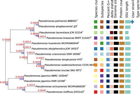 Frontiers Pseudomonas Palmensis Sp Nov A Novel Bacterium Isolated