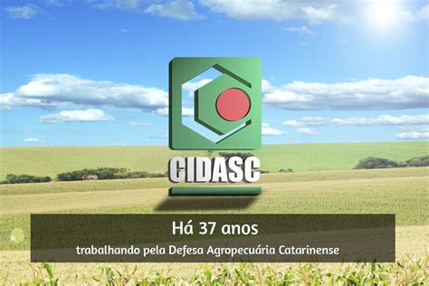 Cidasc Companhia Integrada De Desenvolvimento Agr Cola De Santa Catarina