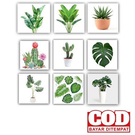 Jual Hiasan Dinding Tropical Wall Decor Rumah Ruangan Kamar Monstera