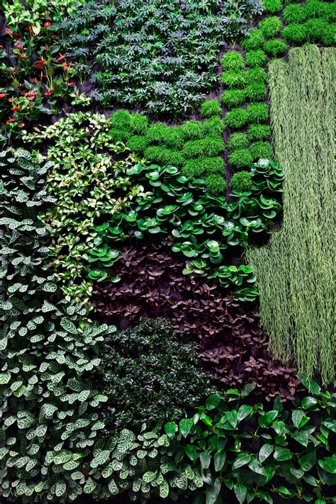 Simple Indoor Vertical Garden With Low Cost Home Decorating Ideas