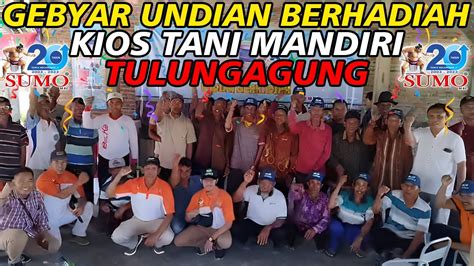 GEBYAR UNDIAN SUMO DI KIOS TANI MANDIRI TULUNGAGUNGSumo 20 Tahun