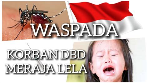 Wabah Demam Berdarah Makin Ganas Anak Jadi Incaran Youtube