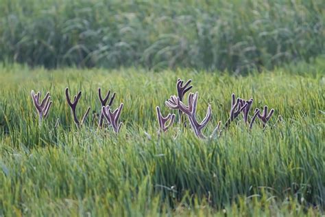 The secret meeting held on 7/29 still sparks political debate 22