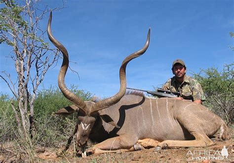 Kudu Hunt In Namibia