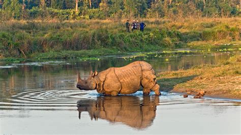 Bardia National Park - 4 things to do in Bardia NP - Nepal Sanctuary Treks