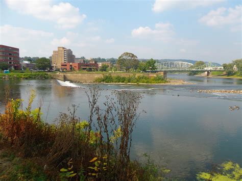 The Great Lakes of NYC: Lehigh River for carp