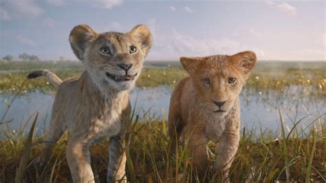 Mufasa The Lion King 2024 Stream And Watch Online Moviefone