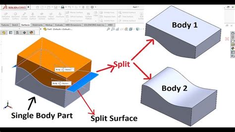 A Computer Screen With Two Different Types Of Body Parts And The Same Type Of Surface