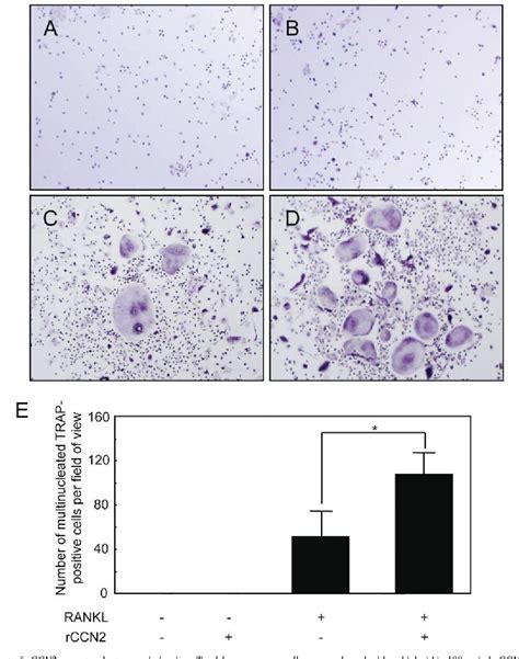 Figure From Clinical Significance And Pathogenic Function Of