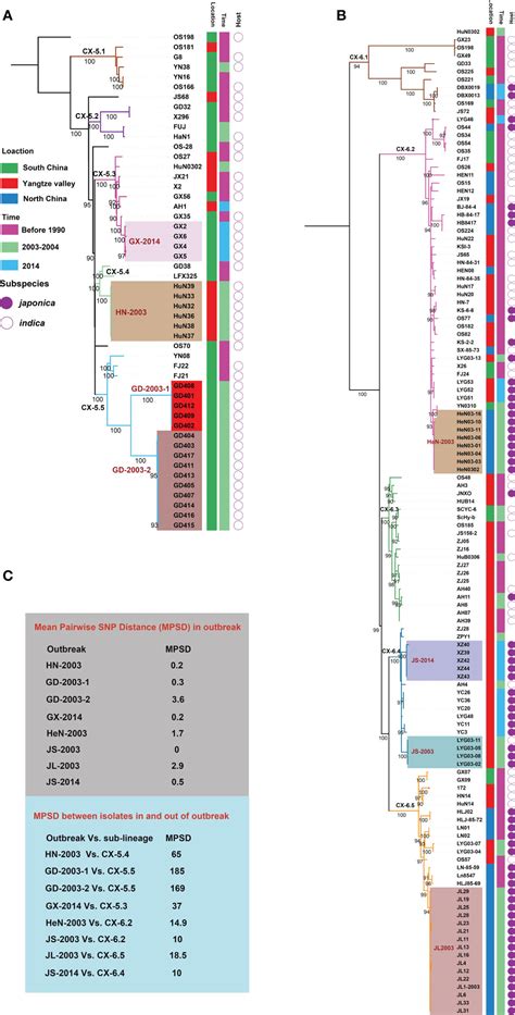 Frontiers Population Genomics And Pathotypic Evaluation Of The