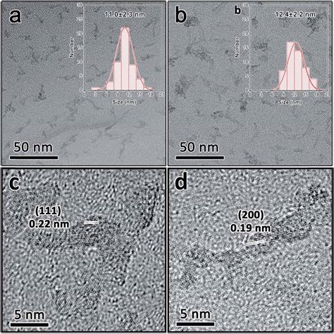 TEM Images Of Anatase A And Rutile B TiO 2 Nanocrystals HRTEM