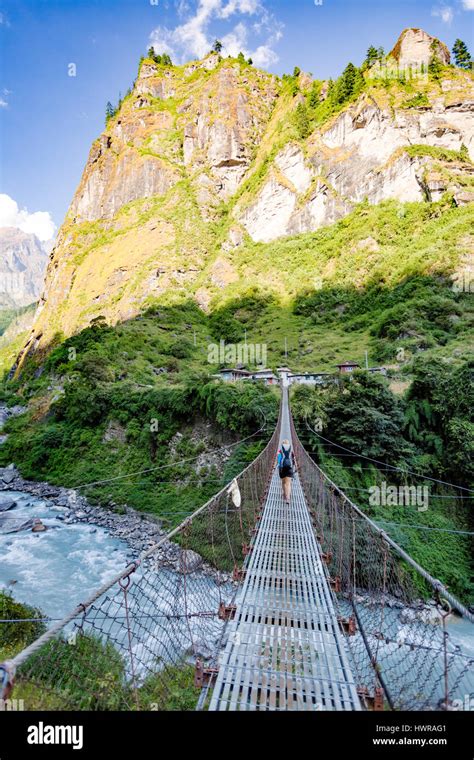 Woman Backpacker Crossing Suspension Bridge In Himalayas Nepal