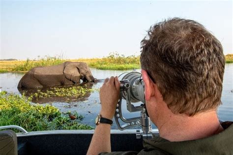 Wildlife photography workshops Africa | Hosted Photo Safaris