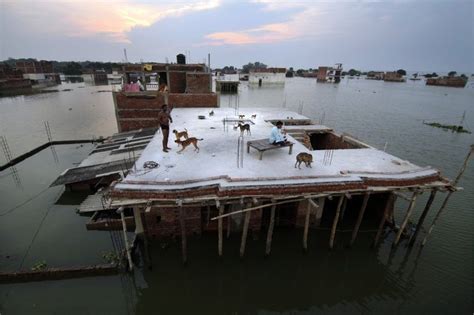 India Ganges Floods Break Previous Records Bbc News