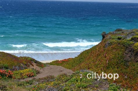 5 BEST Things to Do at Garrapata State Park