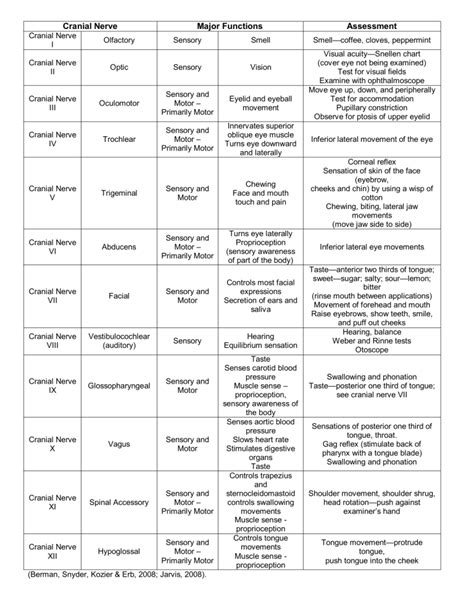 Cranial Nerves Functions And Assessment Guide