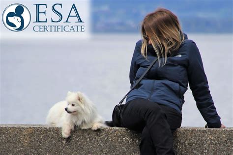 The Best Dog Breeds for Emotional Support - ESA Certificate