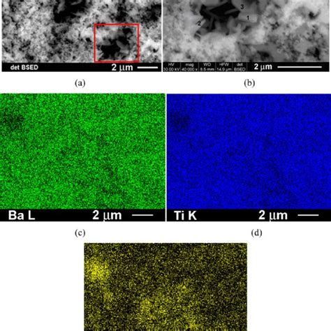 Low And High Magnification FE SEM Images In BSE Mode A And B And