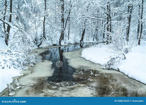 Forest river in winter stock image. Image of forest - 208874639