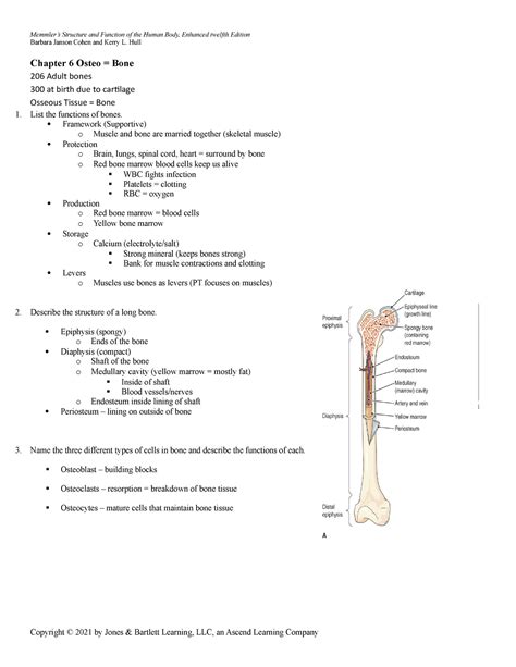 Chap 6 The Skeletal System With Objectives And Answers Hsc208