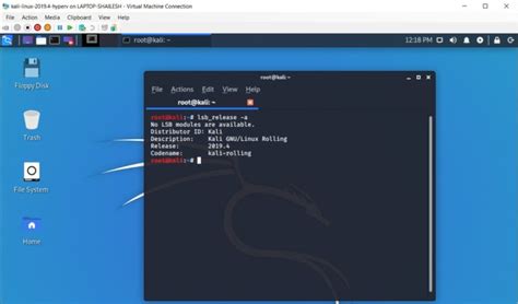 Kali Linux Check Version